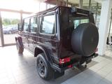 Mercedes-Benz G 350 d Professional KLIMA AHK 1. HAND - Mercedes-Benz Professional