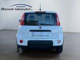 Fiat Pandina 1.0 GSE BT DAB PDC Temp Spurhalteass. Ve - Fiat New Panda Gebrauchtwagen