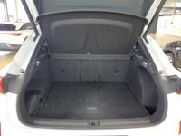 Cupra Terramar - Vorschau Bild 11