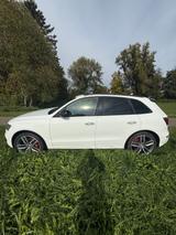 Audi SQ5 3.0 TDI plus quattro/Pano/BO/Rautenstep/AHK - weiße Audi SQ5