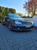 Mercedes-Benz CLK 55 AMG AMG - Mercedes-Benz CLK 55 AMG: Coupé