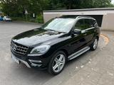 Mercedes-Benz ML 250 4MATIC 4MATIC*AIRMATIC*H/K*AHK*STHZG  - Mercedes-Benz Ml airmatic