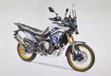 VOGE DS800X Rally - VOGE DS800X Rally