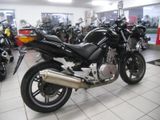 Honda CBF 500 - Offers matching your search criteria