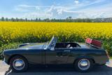 MG Midget