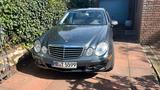 Mercedes-Benz E 550 Avantgarde V8 5.5L Sauger US  Import - Mercedes-Benz E550