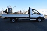 Ford Transit Pritsche 350 Einzelkabine 4,20m - Trucks in Köln