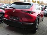 Mazda CX-30 NAVI+PDC+RfK+SHZ+LHZ - gebrauchte Mazda CX-30 aus dem Jahr 2020