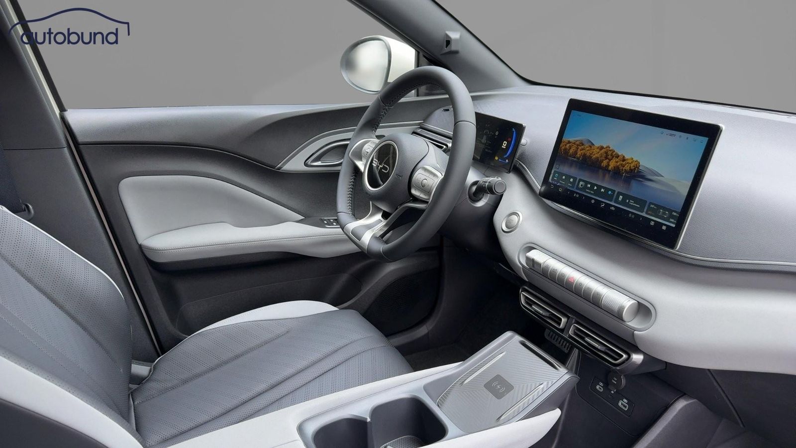 BYD DOLPHIN SURF