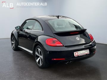 Volkswagen Beetle - 3