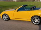 Mercedes-Benz D Benz  S L K   320 V 6  R 170 - Mercedes-Benz: Cabrio, 170 V