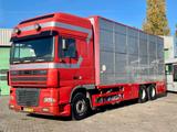 DAF XF 95.430 BERDEX 3 decks. Water, fans, Scales! E - DAF Xf 95