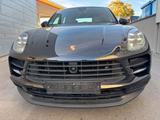 Porsche Macan S *LED*/Standhz./Belüftung/BOSE... - gebrauchte Porsche Macan aus dem Jahr 2019