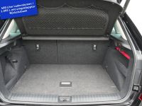 Skoda Kamiq - Vorschau Bild 18