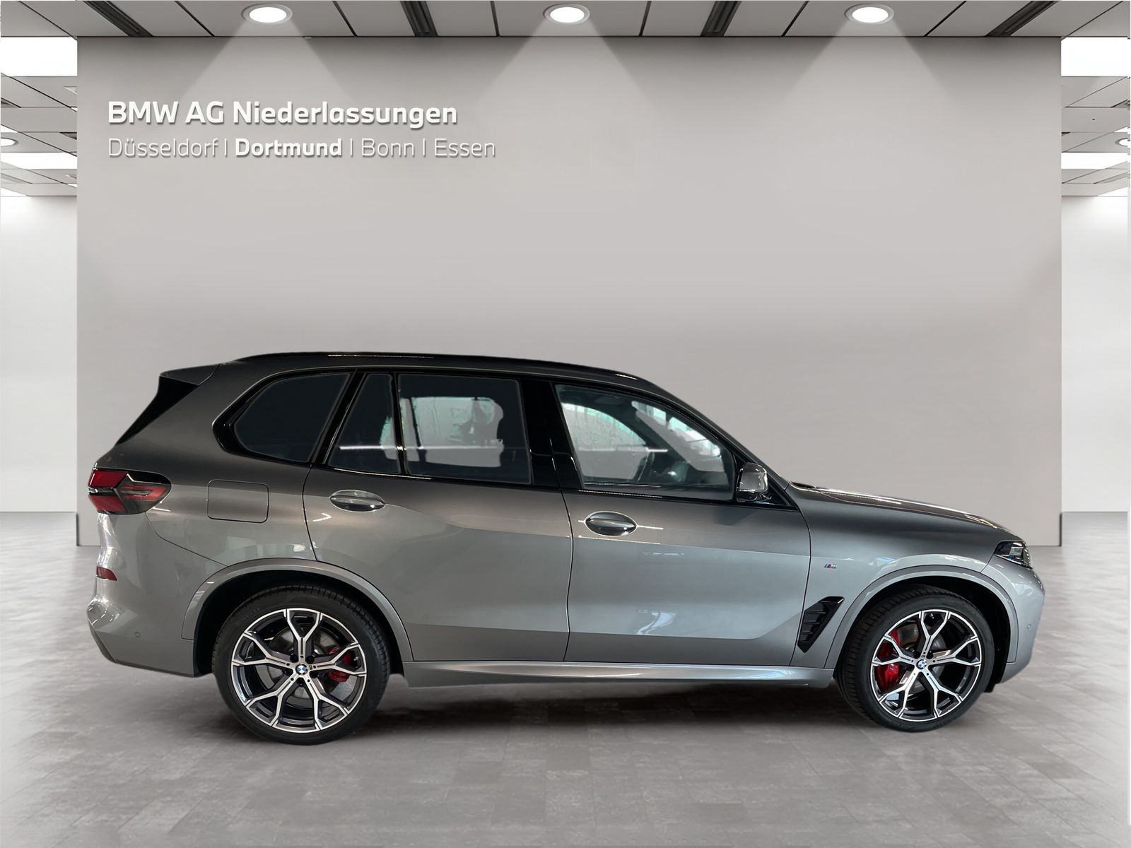 BMW X5 xDrive40i M Sport Standheizung Harman K LED foto 4