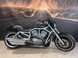 Harley-Davidson VRSCA V-ROD 1.HAND SE-AUSPUFF - 2002 V ROD