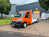 Fiat DUCATO - Baumaschinentransporter - 136 TKm - Offers matching your search criteria