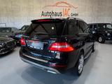 Mercedes-Benz ML 350/AMG/PANO/SITZBELÜFTUNG/AHK/RFK/XENON - Mercedes-Benz ML 350 mit Benzin-Antrieb