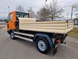 Multicar M30 langer Radstand Dreiseitenkipper Allrad 4x4 - Multicar M30