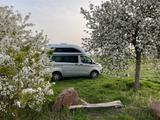 Ford Nugget *Top Ausstattung*Motor 80tsd KM - Ford Nugget Wohnwagen gebraucht
