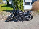 Benelli 502C Cruiser - BENELLI 502 C