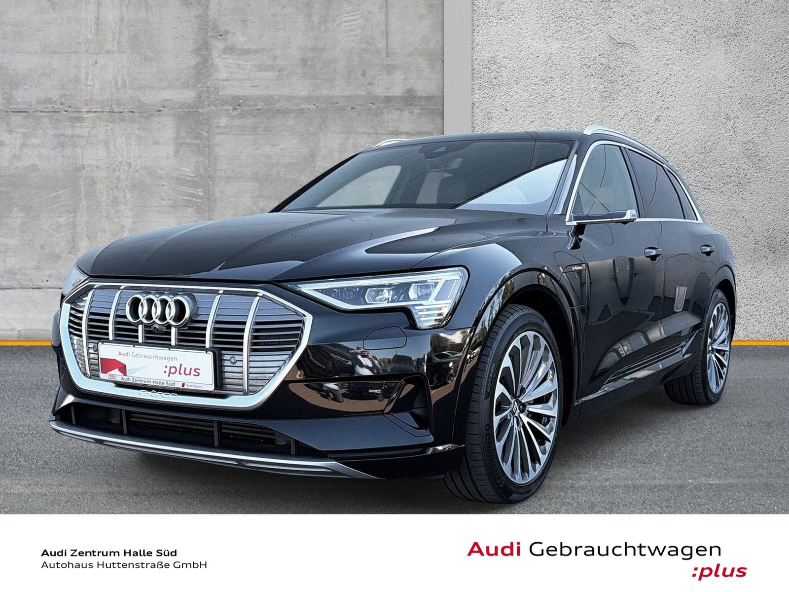 AUDI e-tron 55 qu advanced AHK MATRIX PANO 21" B&amp;O TV