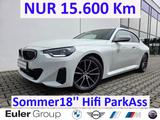 BMW 220 d Sommer18'' Hifi ParkAss LcProf ConPakProf 