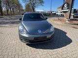 Volkswagen Beetle 2.0 TSI DSG Sport Automatik*SHZ*Navi.* - VW Beetle Gebrauchtwagen in Hamburg
