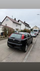 Fiat Punto - Fiat Punto Gebrauchtwagen in Stuttgart
