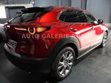Mazda CX-30 SELECTION - Mazda CX-3: Limousine