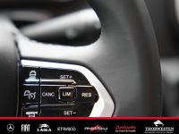 Autohaus Thorwesten Gebrauchtwagen