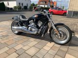Harley-Davidson V Rod Custom 240 Hinterrad , nur 8000 KM!! - Angebote entsprechen deinen Suchkriterien