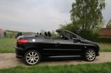 Peugeot 206 CC Platinum 135 Platinium - gebrauchte Peugeot 206 aus dem Jahr 2001