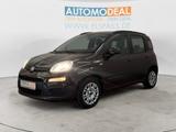Fiat Panda Lounge ALLWETTER PDC KLIMA METALLIC CD/MP3 - Fiat Panda Gebrauchtwagen in Krefeld