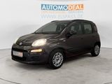 Fiat Panda Lounge ALLWETTER PDC KLIMA METALLIC CD/MP3 - Fiat Panda aus 2012