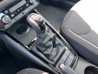 Skoda Kamiq 1.0 TSI DSG Selection AHK KAM LED 5J GAR bei Autohaus Landmann & Maier OHG
