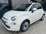 Fiat 500 Cult *1HAND*NAVI*KLIMA*BT++++ - Fiat 500 Cult mit Hybrid-Antrieb (Benzin/Elektro)