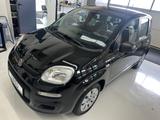 Fiat Panda Pop Klima  1 Hand - Fiat Panda: Schwarz