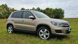 Volkswagen Tiguan 1.4 TSI 4MOTION Trend & Fun Trend & Fun - Volkswagen Tiguan: Trend Fun