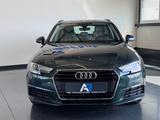 Audi A4 Avant basis*SPORT*PDC*SHZ*AHK*XENON* - Audi A4: Grün, mit Navigationssystem