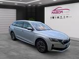 Skoda Octavia Combi 2.0 TDI 110 kW,DSG, Selection, in  - Skoda Octavia aus 2024