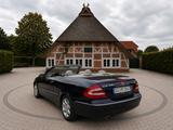 Mercedes-Benz CLK 320 ELEGANCE Elegance - Mercedes-Benz CLK 320