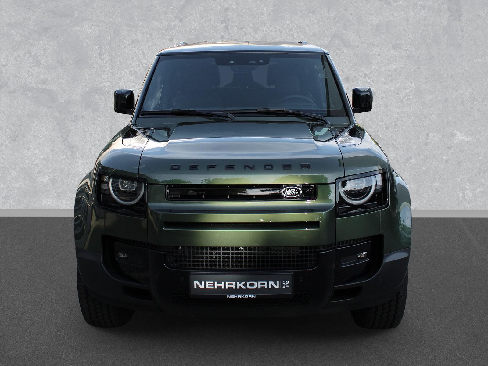 Fahrzeugabbildung Land Rover Land Rover Defender 90 D250 S