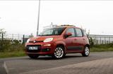 Fiat 312 Panda 1.2 8V Euro 6 - Fiat Panda 312