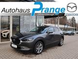 Mazda CX-30 M-Hybrid G-140 AT Takumi LEDER-S *Winter-A - Mazda CX-30 Takumi mit Benzin-Antrieb