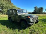 Mercedes-Benz G 250 - Mercedes-Benz G 250 Gebrauchtwagen
