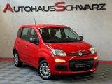 Fiat Panda Easy Klima 8Fach ZV PDC 1.Hand Insp.Neu - Fiat Panda: I