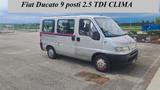 Fiat Ducato 9 posti 2.5 TDI CLIMA - gebrauchte Fiat Ducato aus dem Jahr 1997