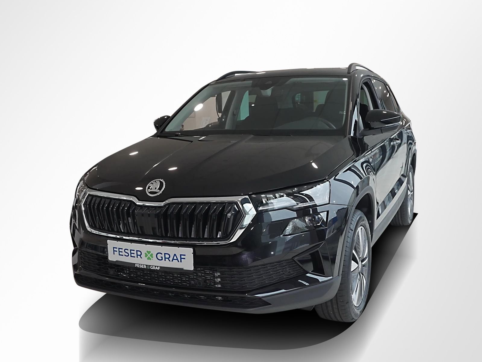 Skoda Karoq - Bild 9