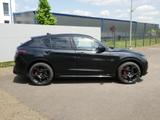 Alfa Romeo Stelvio VELOCE 2.0 TURBO 16V 280 PS AT8 Q4 21 ZO - Alfa Romeo Stelvio Tageszulassungen